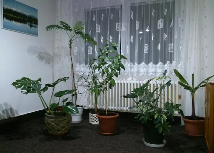 Sunnystreet
